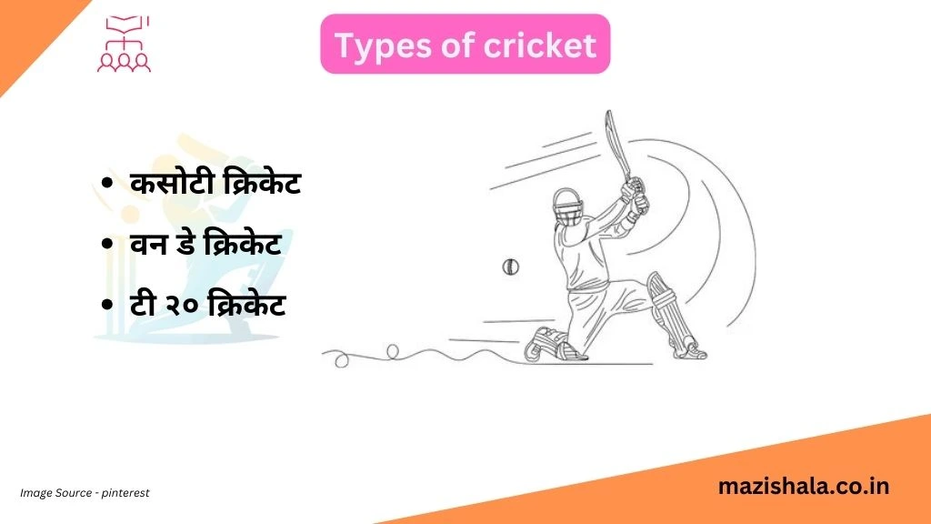 Types of cricket